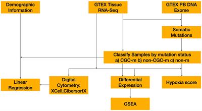 Microenvironmental changes co-occur with mosaic somatic clonal expansions in normal skin and esophagus tissues